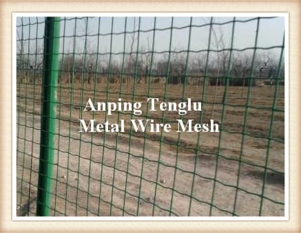 Wire Mesh Fence_Welded Mesh Fence_Metal Wire Fencing